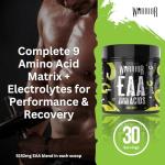 Warrior EAA Sour Apple - Essential Amino Acids 360g