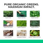 Organic Greens Powder with Pea Protein & Probiotics