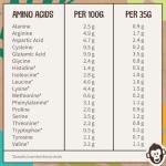 EarthChamp Vegan Protein Powder - Vanilla 2kg