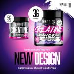 Nilone Protein Powder for Muscle Recovery