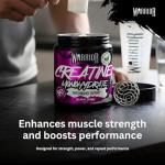 Nilone Protein Powder for Muscle Recovery