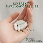 24-Vitamin Multivitamin Complex with Ashwagandha & Rhodiola