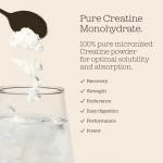 100% Pure Micronised Creatine Monohydrate Powder