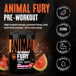 Animal Fury Pre Workout Powder: Energy for Bodybuilders