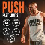 Animal Fury Pre Workout Powder: Energy for Bodybuilders