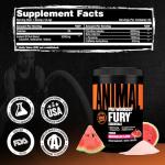 Animal Fury Pre Workout Powder: Energy for Bodybuilders