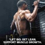 Bulk Vanilla Whey Protein Isolate Powder 2.5 kg