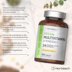 Vegan Multivitamin with B12, D3 & Zinc - 180 Tablets