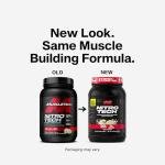 NitroTech Whey Protein Powder with Creatine, Vanilla