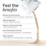 EXALT Vegan Protein Powder - Madagascan Vanilla