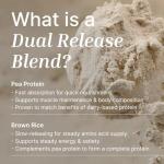 EXALT Vegan Protein Powder - Madagascan Vanilla