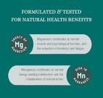 Organic Vanilla Plant Protein Powder with Ginger