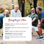 Zipvit 27 Essential Nutrients Vegan Multivitamins