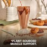 Bulk Vegan Chocolate Protein Powder - 2.5 kg