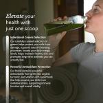 Clubwell Green⁵ Super Greens Powder - 30 Servings