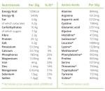 BodyMe Organic Vegan Protein Powder - Vanilla Flavor