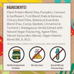 EarthChamp Vegan Chocolate Protein Powder 2kg