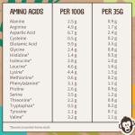 EarthChamp Vegan Chocolate Protein Powder 2kg