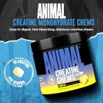 Animal Creatine Chews - Lemon Ice Flavor Tablets