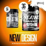 Warrior Creatine Monohydrate Powder 500g - Tropical Sunrise