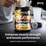 Warrior Creatine Monohydrate Powder 500g - Tropical Sunrise