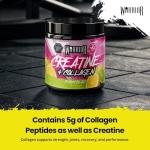 Warrior Creatine and Collagen Powder - Citrus Blast