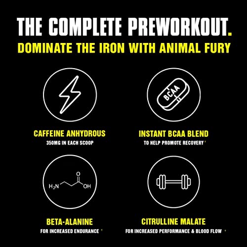 Animal Fury Pre Workout Powder: Energy for Bodybuilders