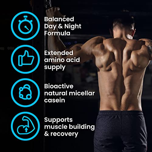 VPlab Casein & Whey Protein Shake, Low Sugar (Vanilla)