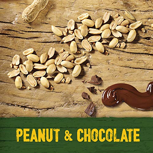 Nature Valley Protein Peanut & Chocolate Gluten Free Cereal Bars - 32 Bars