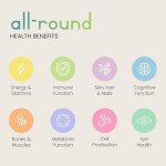 VitaBright High Strength Vegan Multivitamins for Adults