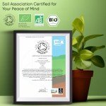 Organic Super Greens Powder – 9 Natural Greens Mix