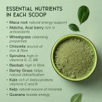 SuperSelf Organic Super Greens Powder with Matcha