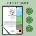 SuperSelf Organic Super Greens Powder with Matcha