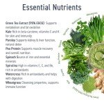 Applied Nutrition Critical Greens Superfood Powder - Apple Burst