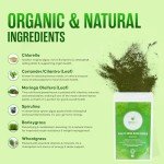 Organic Super Greens Powder | 6 Superfoods for Energy
