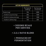 Time 4 BCAA - 240 Vegan Capsules for Muscle Growth