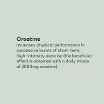 Vegan Creatine Monohydrate Capsules for Muscle Growth