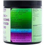 Plexira Super Greens Powder with Mushrooms – Mango Mix