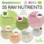 GreatGreens Organic Super Greens Powder - 300g Blend