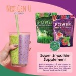 Superfood Greens & Berries Powder for Immune Support