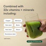 Green Guard Super Greens Powder - 8 Organic Superfoods
