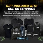EAA & BCAA Amino Recovery Powder - Watermelon