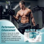 Creatine Gummies with BCAAs - Sugar Free 5000mg