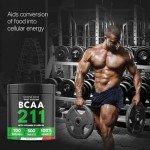 Bandini® BCAA 2:1:1 – 500 Vegan Tablets