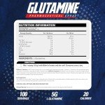 EHP Labs L-Glutamine Powder for Muscle Recovery