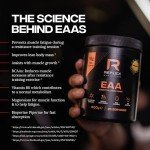 Reflex Nutrition EAA - Essential Amino Acids Powder