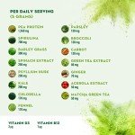 Ultimate Vegan Super Greens Powder with 15 Superfoods