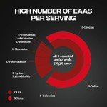 Reflex Nutrition EAA - Essential Amino Acids Powder