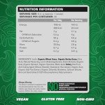 EHPlabs OxyGreens Passionfruit Super Greens Powder