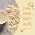 Alpha Foods Vanilla Vegan Protein Powder 1.2kg